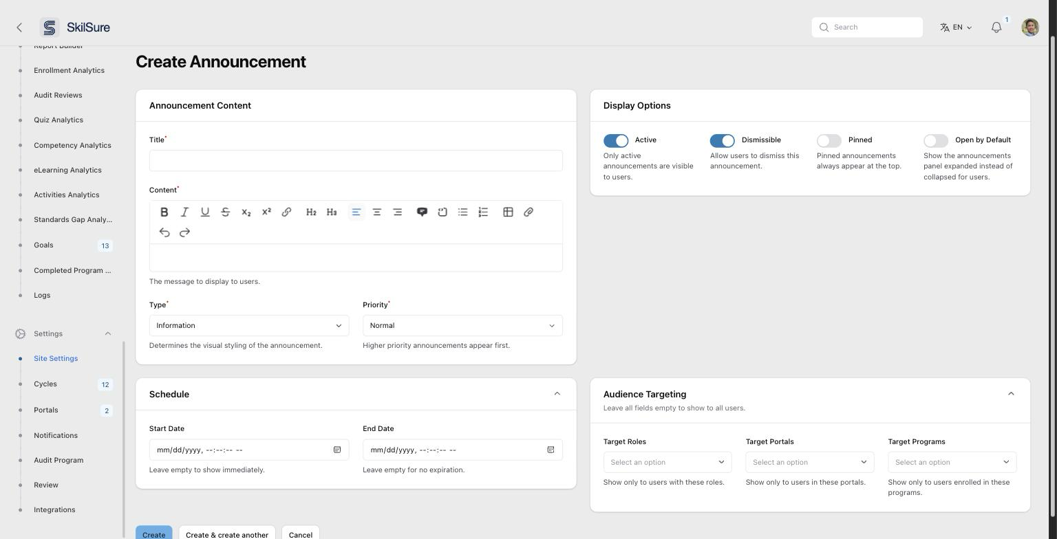 The Audience Targeting panel expanded, showing three multi-select fields: Target Roles, Target Portals and Target Programs, each empty.